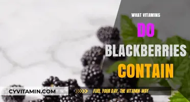 Boost Your Health: Discover the Vitamins Packed in Blackberries