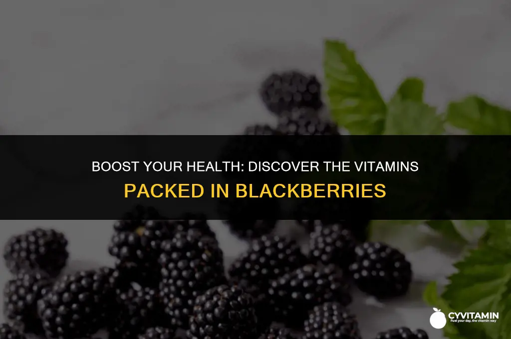 what vitamins do blackberries contain