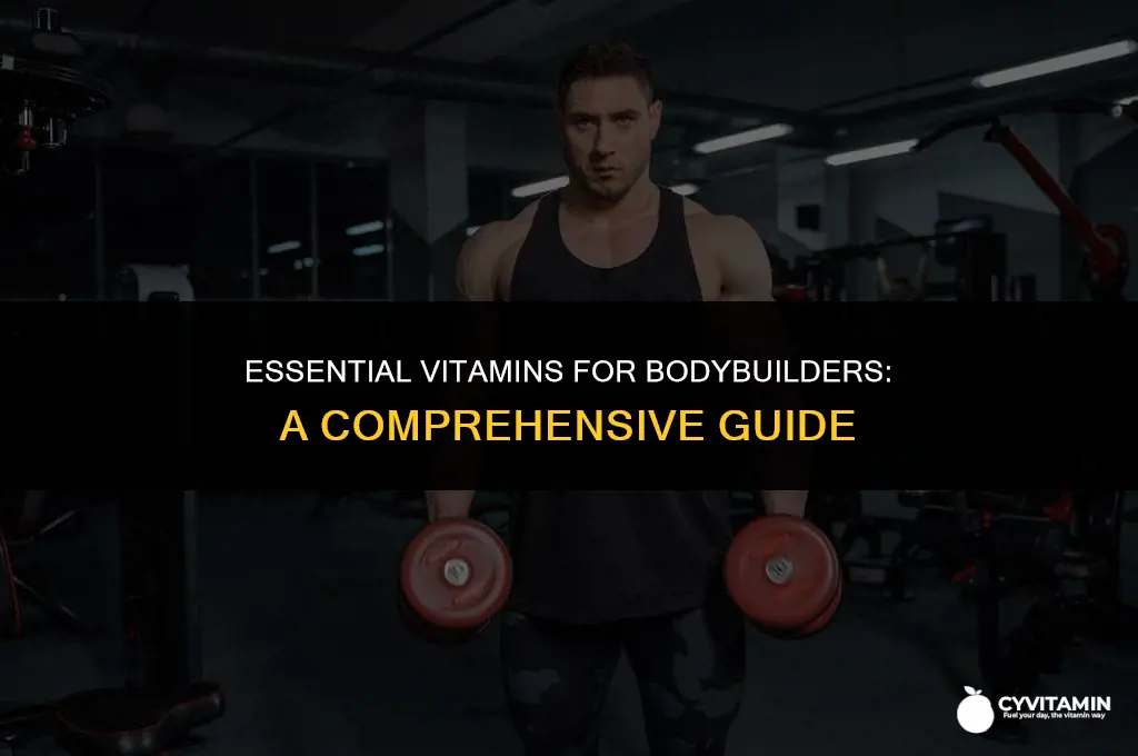 what vitamins do bodybuilders take