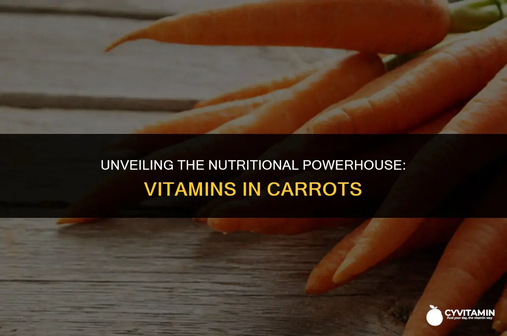 what vitamins do carrots contain