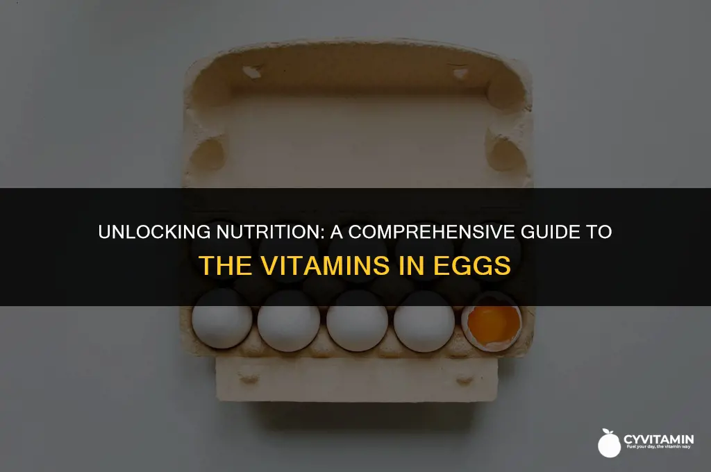 what vitamins do eggs contain