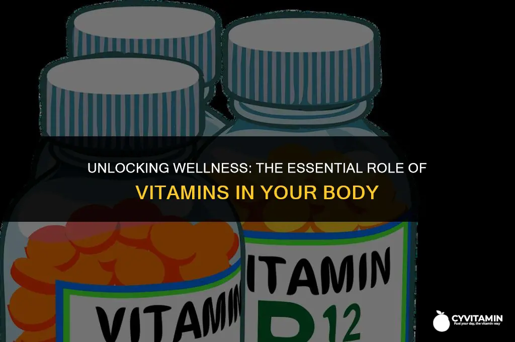 what vitamins do for the body