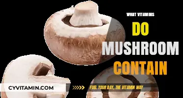 Unlocking Nature's Bounty: A Guide to the Vitamins in Mushrooms