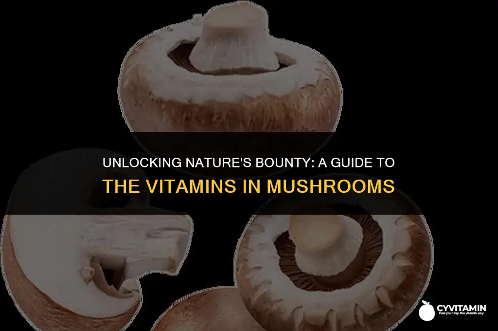 what vitamins do mushrooms contain