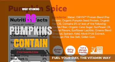 Unlocking the Nutritional Powerhouse: Vitamins and Minerals in Pumpkins