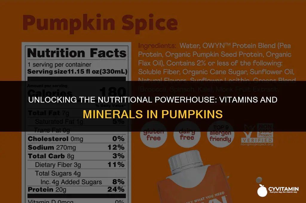 what vitamins do pumpkins contain