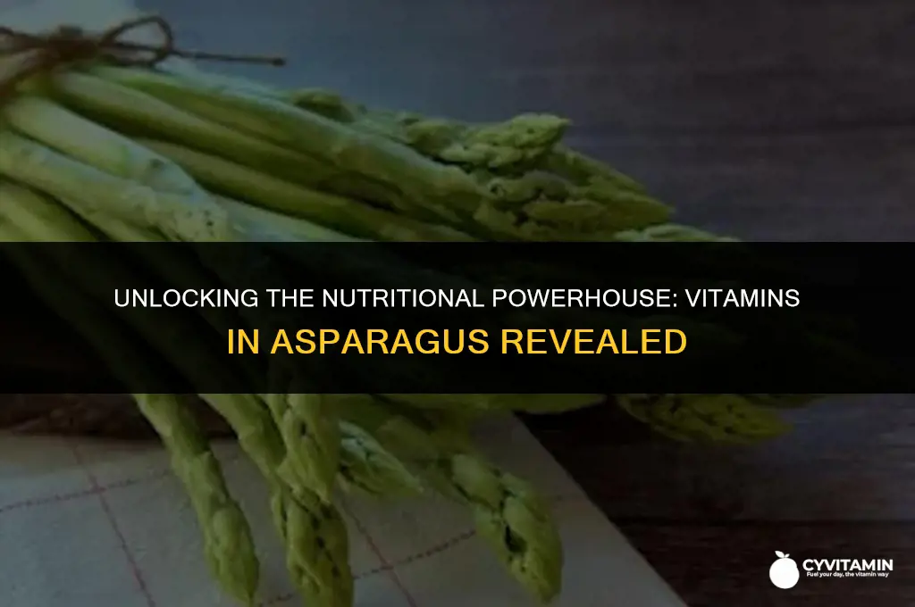 what vitamins does asparagus contain