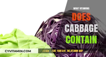 Unlocking the Nutritional Powerhouse: Vitamins in Cabbage Revealed