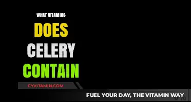 Unlocking the Nutritional Powerhouse: Vitamins in Celery Revealed
