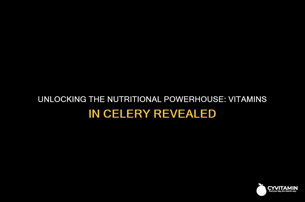 what vitamins does celery contain