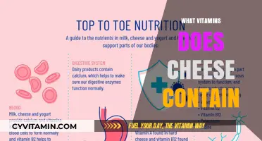 Nutritional Spotlight: Unveiling the Vitamin Riches in Cheese