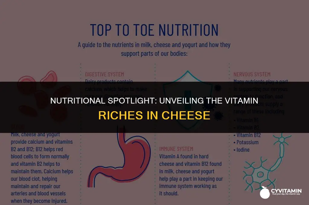 what vitamins does cheese contain