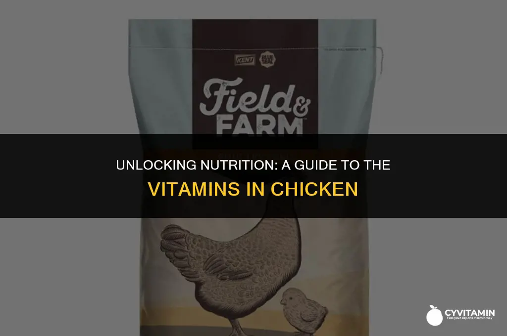 what vitamins does chicken contain