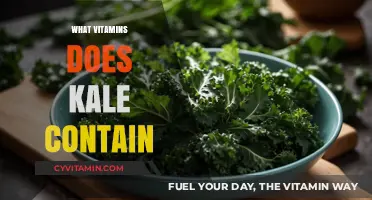 Unlocking the Power of Kale: A Comprehensive Guide to Its Essential Vitamins