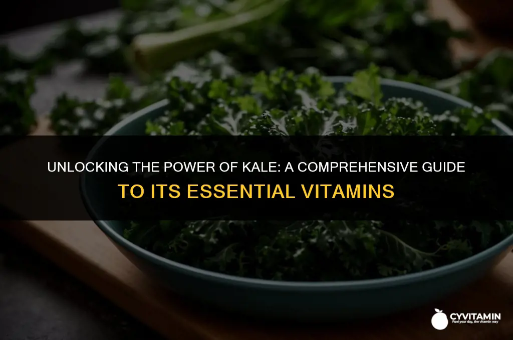 what vitamins does kale contain