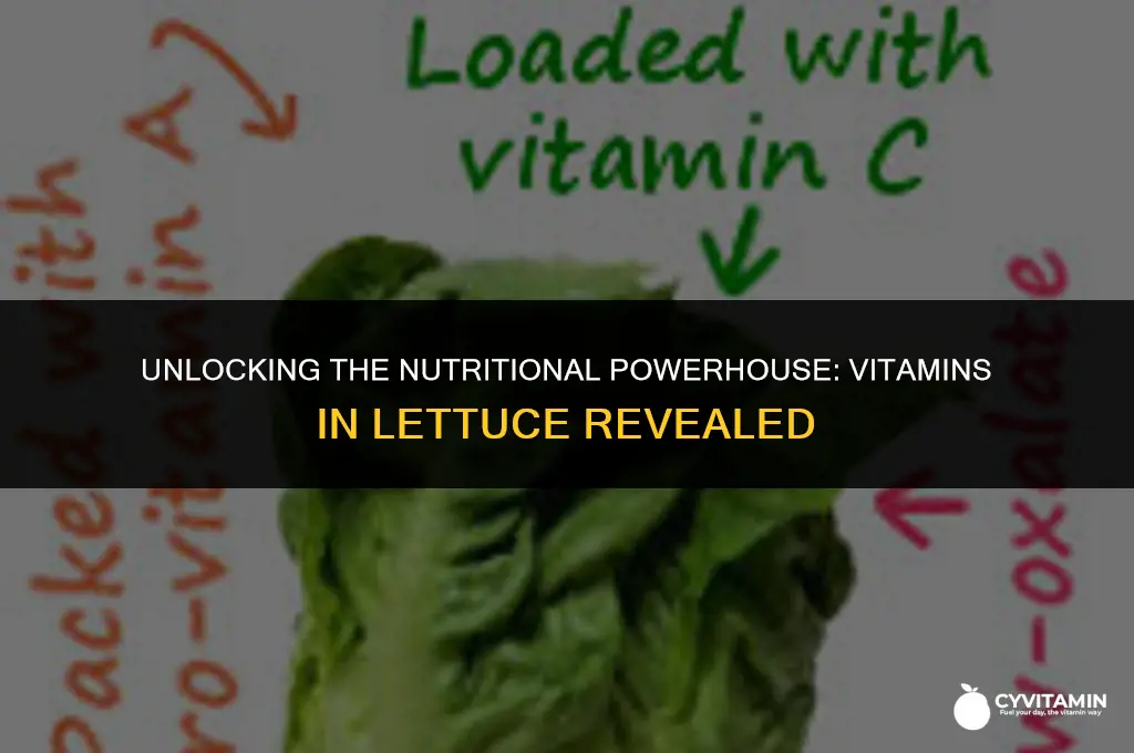 what vitamins does lettuce contain