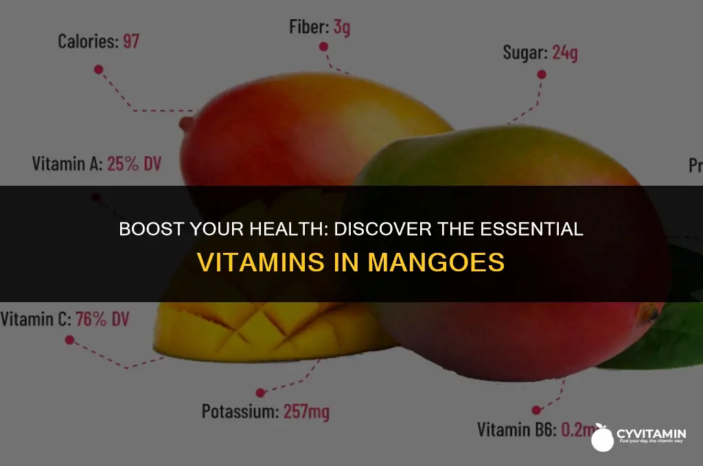 what vitamins does mango contain