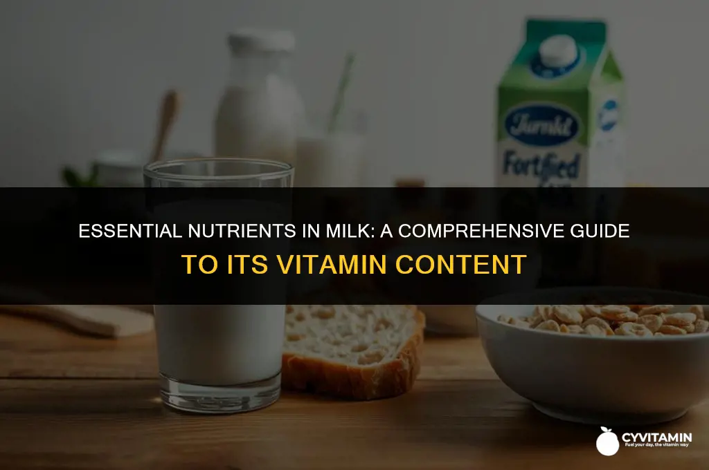 what vitamins does milk contain
