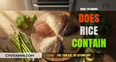 Unlocking the Nutritional Powerhouse: Vitamins in Rice Revealed