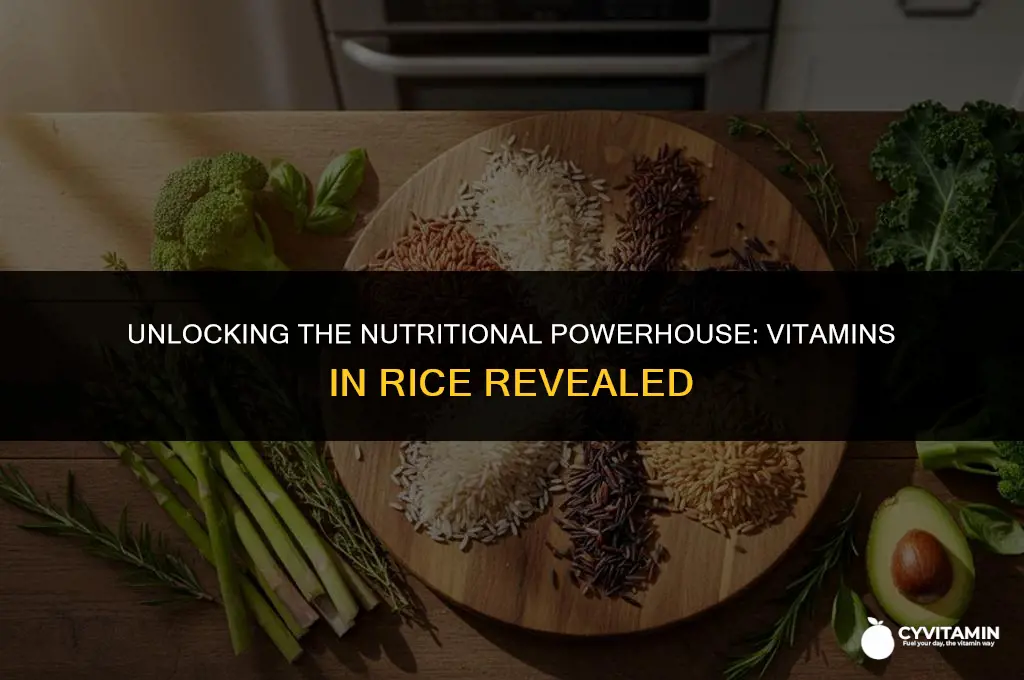 what vitamins does rice contain
