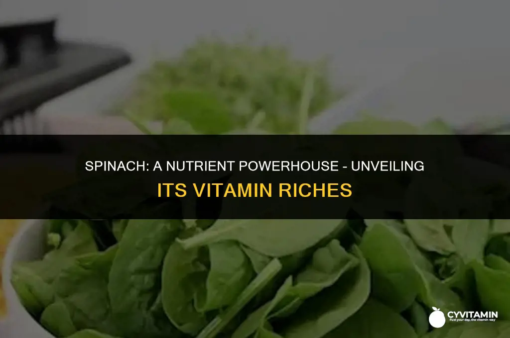 what vitamins does spinach contain