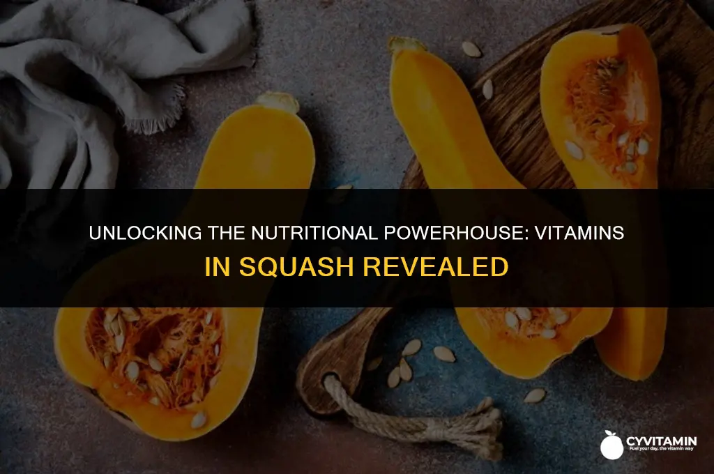 what vitamins does squash contain