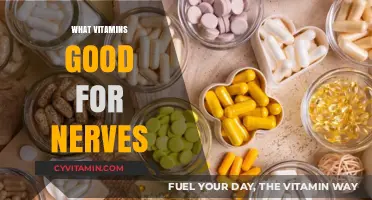 Boost Your Nervous System: Essential Vitamins for Optimal Nerve Health