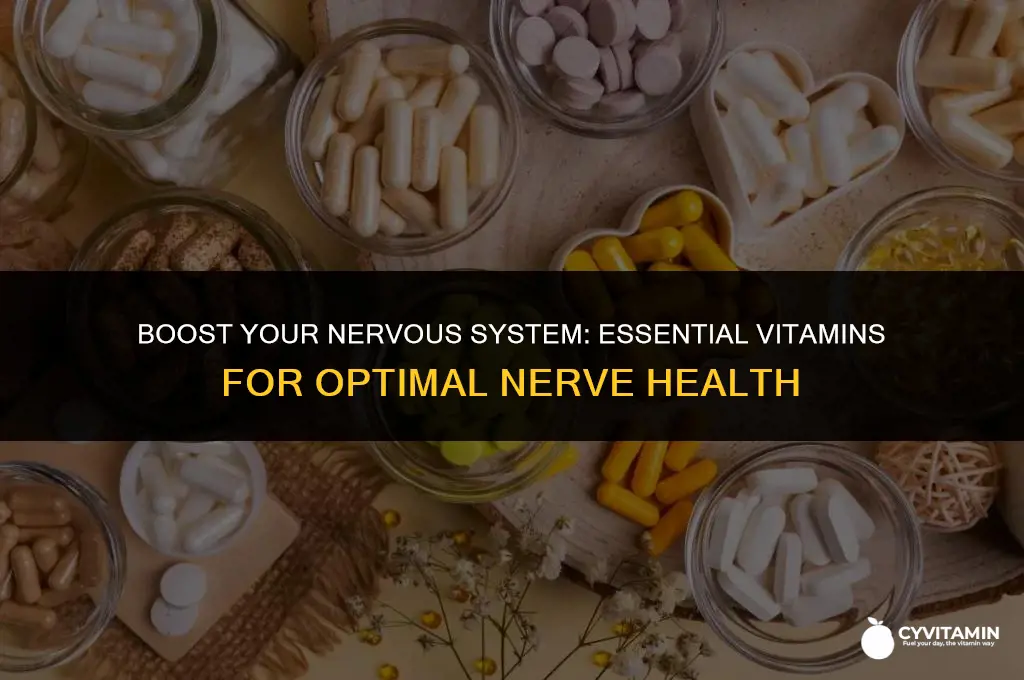 what vitamins good for nerves