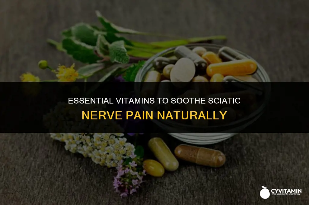what vitamins is good for sciatic nerve