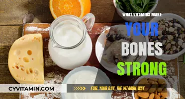 Building Strong Bones: The Essential Vitamins You Need