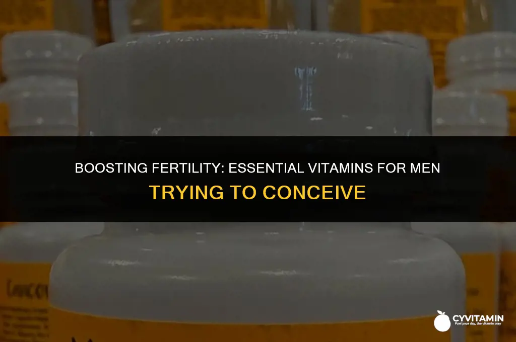 what vitamins should a man take when trying to conceive