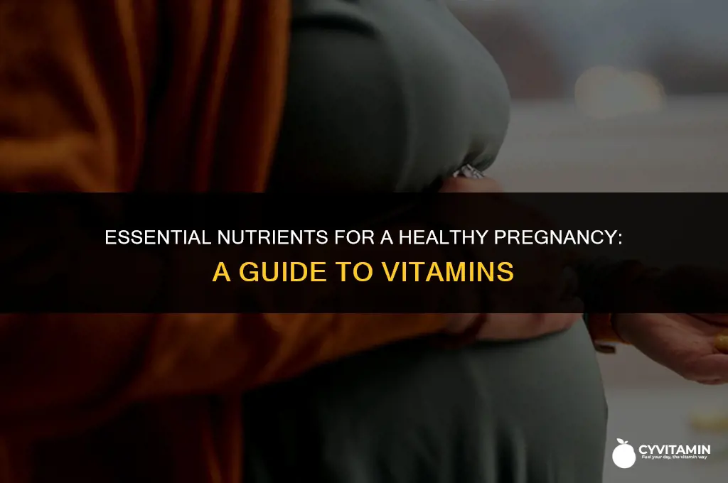 what vitamins should i be taking when pregnant