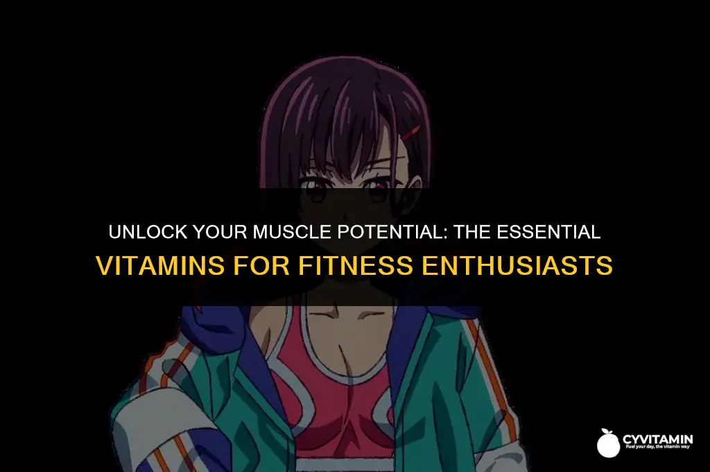 what vitamins should i take to build muscle