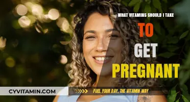 Boosting Fertility: Essential Vitamins for a Healthy Pregnancy Journey