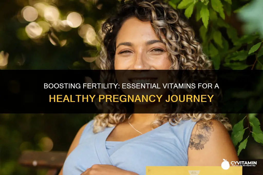 what vitamins should i take to get pregnant