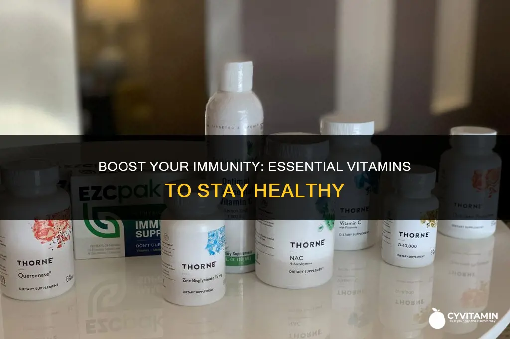 what vitamins should i take to not get sick