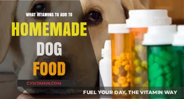 Boosting Your Pup's Health: Essential Vitamins for Homemade Dog Food