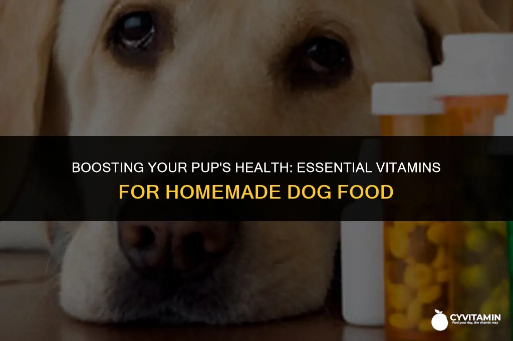 what vitamins to add to homemade dog food