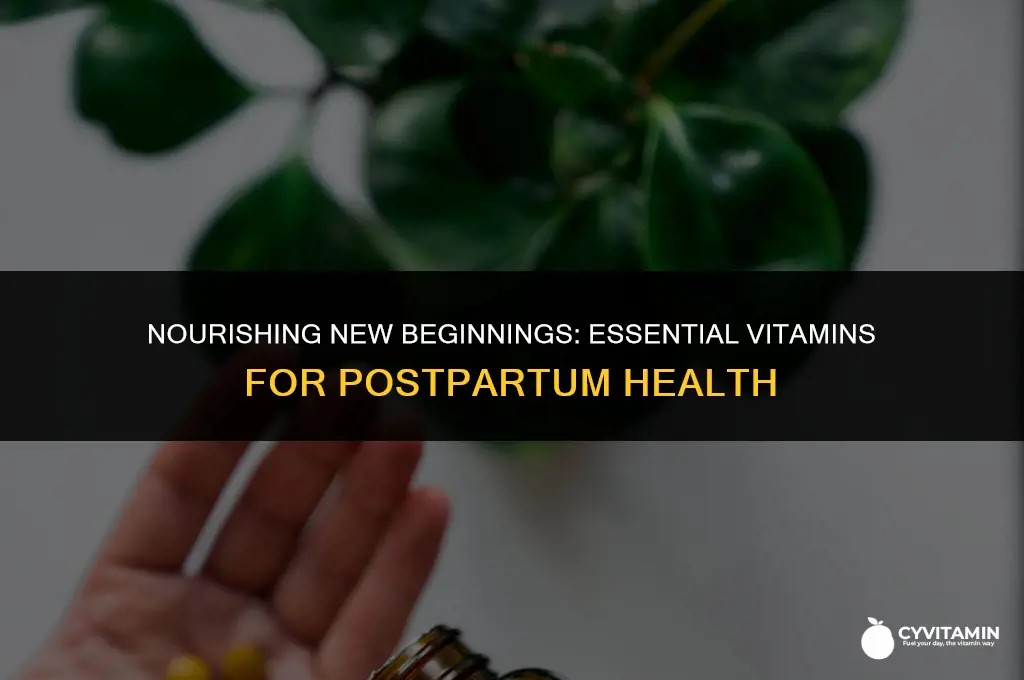 what vitamins to take after birth