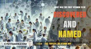 Unlocking Nutrition's Secrets: The Discovery of Vitamin B1