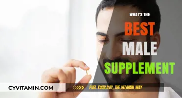 Top Male Supplements: Boosting Health, Energy, and Vitality Naturally