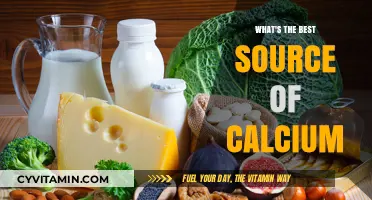 Top Calcium-Rich Foods for Strong Bones and Optimal Health