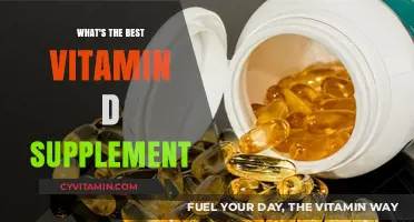 Top Vitamin D Supplements: Boost Your Health with the Best Choices