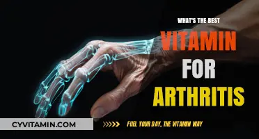 Top Vitamins to Ease Arthritis Pain and Inflammation Naturally