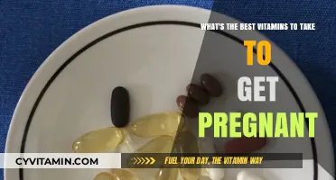 Boost Fertility Naturally: Top Vitamins for Conception Success