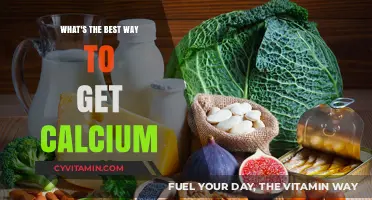 Boost Your Calcium Intake: Top Natural Sources and Smart Strategies