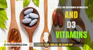 Exploring the Essential Differences Between Vitamin D2 and D3
