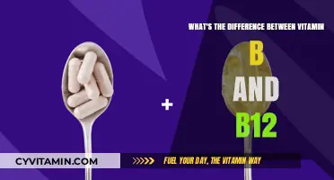 Exploring the Essential Distinctions: Vitamin B vs. B12