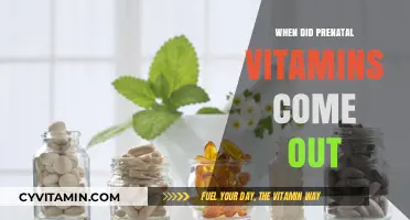 Unveiling the History: When Did Prenatal Vitamins Come Out?
