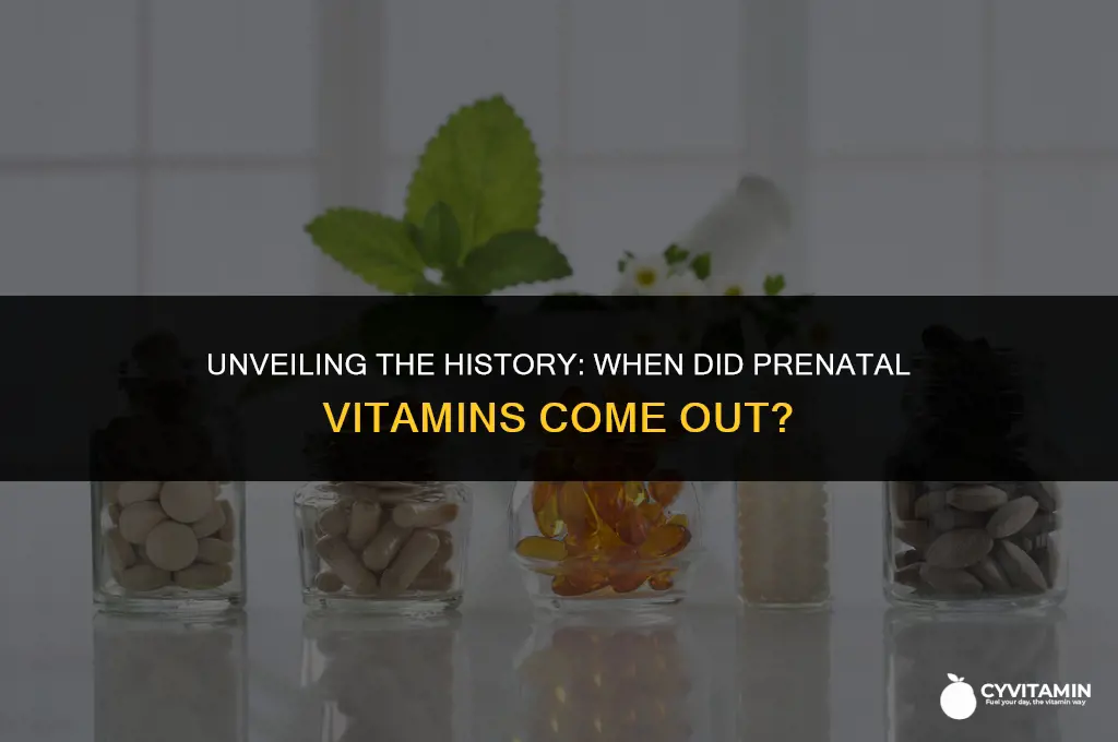 when did prenatal vitamins come out